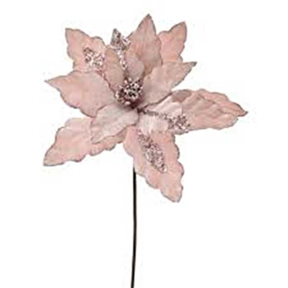 ILI79198